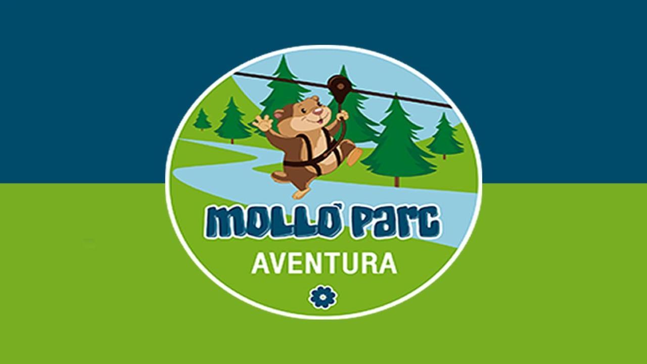 Llanars, En Vall De Camprodon Vistas Montana De Frente, Ascensor, Orientacion Sur, Chimenea, Wifi, Mollo Park, Vallter, Hipica, Golf Екстер'єр фото