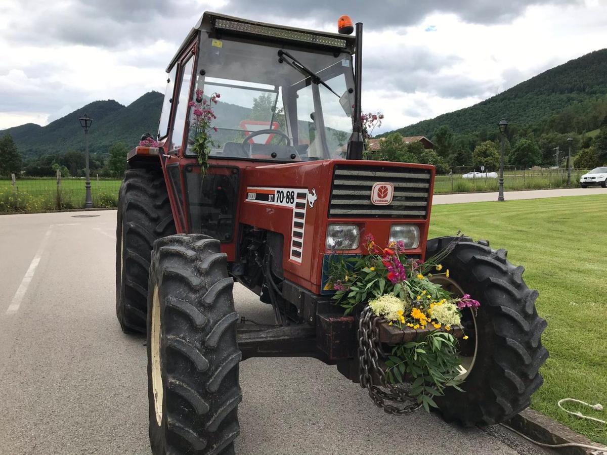 Llanars, En Vall De Camprodon Vistas Montana De Frente, Ascensor, Orientacion Sur, Chimenea, Wifi, Mollo Park, Vallter, Hipica, Golf Екстер'єр фото
